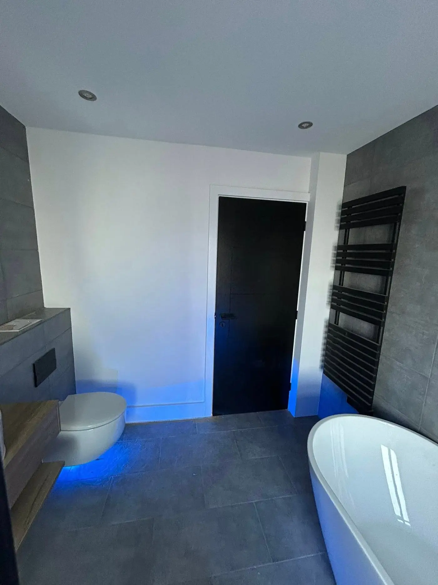 Bathroom with freestanding bath, wall-hung toilet and heated towel rail